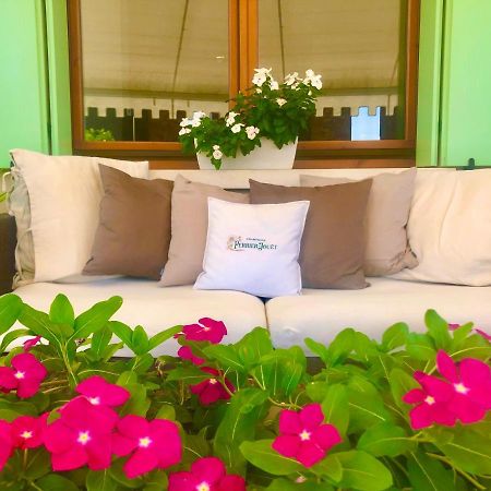 Ca' Del Sole - Attico Panoramico In Centro Storico Appartement Montagnana  Buitenkant foto