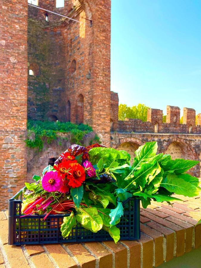 Ca' Del Sole - Attico Panoramico In Centro Storico Appartement Montagnana  Buitenkant foto