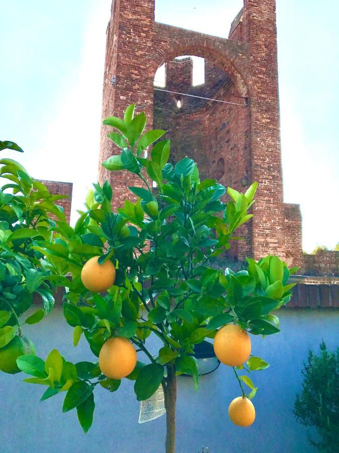 Ca' Del Sole - Attico Panoramico In Centro Storico Appartement Montagnana  Buitenkant foto