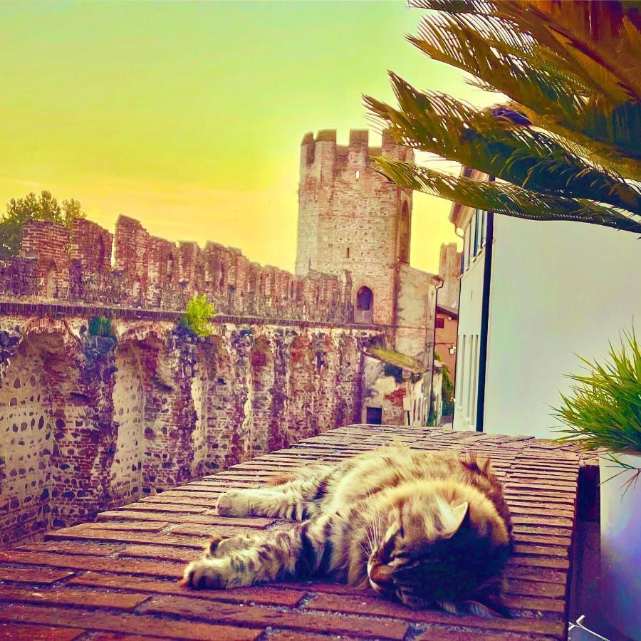 Ca' Del Sole - Attico Panoramico In Centro Storico Appartement Montagnana  Buitenkant foto