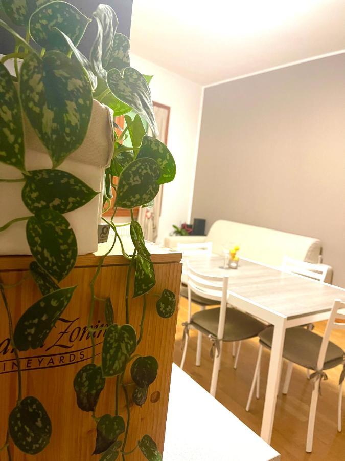 Ca' Del Sole - Attico Panoramico In Centro Storico Appartement Montagnana  Buitenkant foto